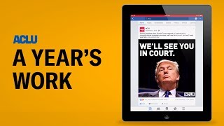 2017: A Look Back