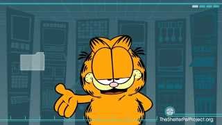 Garfield & The Shelter Pet Project - 10 second spot