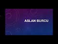 Aslan Burcu