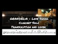GARNiDELiA-Love Swing(Clarinet Solo Transcription and Cover)