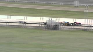 Albion-Park-02122015-Race-4