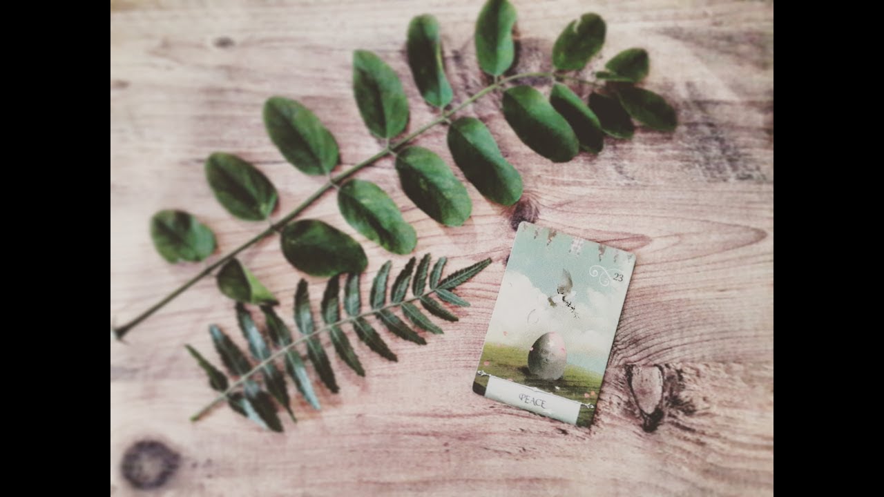 bir kart seç 🌸 soru - cevap (iş-para-aşk) quick reading 💜