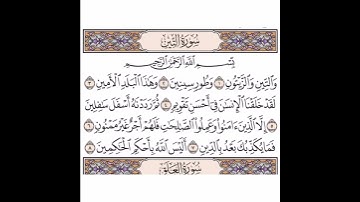 سورة التين بصوت الشيخ ياسر الدوسري |قرآن كريم |QURAN KARIM |حالات واتساب دينية
