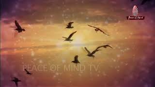 Zindagi Mein Lakhon Chamatkar Kiyein Hain | Song | Brahma Kumaris | Peace of Mind TV