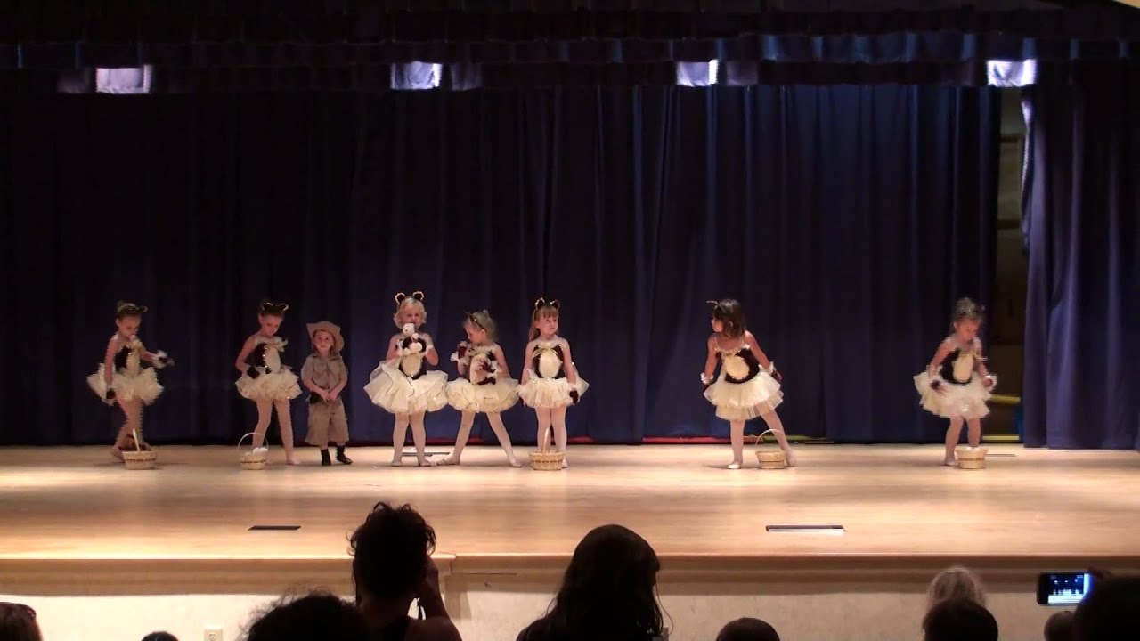 Dance Recital Picnic Time for Teddy Bears YouTube
