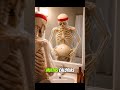 VOCÊ bebe cerveja TODO DIA? Olha isso 🍺💀