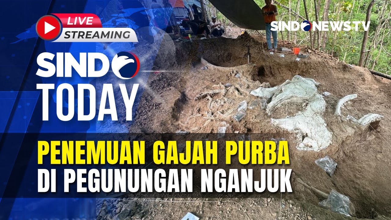 🔴LIVE PENEMUAN FOSIL GAJAH 800 RIBU TAHUN DI NGANJUK | Sindo Today | 25/10