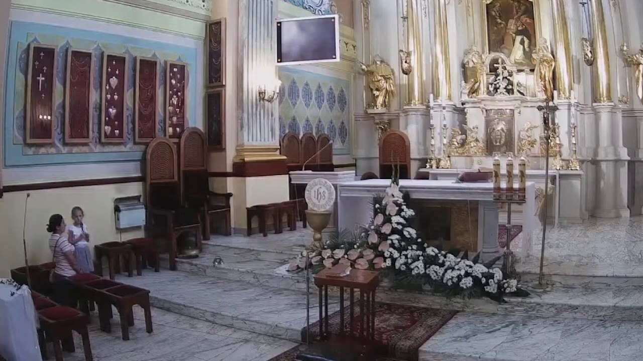 dancing polish cow played on church organ