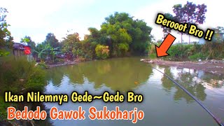 Poin Nilem Babon Bro ‼️Mancing Di Sungai Bedodo Sukoharjo