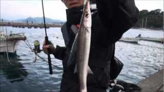 堤防&漁港で誰もが見逃すルアー五目釣りポイント。