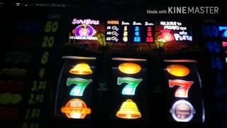 The jungle 500/ play for free at https://www.slotjava.es 