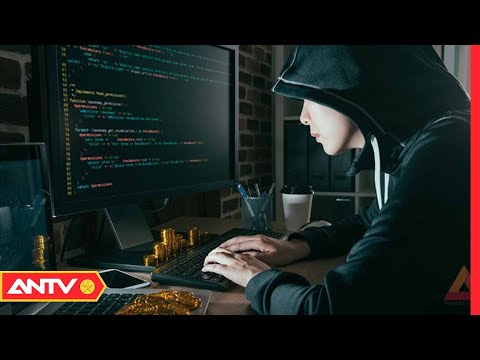 Video Tội phạm phi truyền thống tại Việt Nam | NDTP | ANTV - youtube
