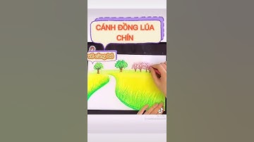 Hướng Dẫn Vẽ Cánh Đồng Lúa