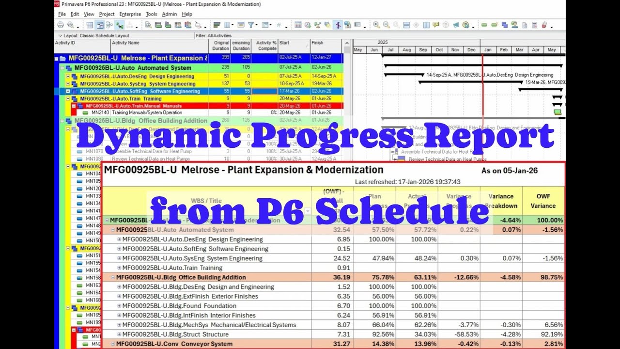 Dynamic Progress Report from primavera p6 schedules - YouTube