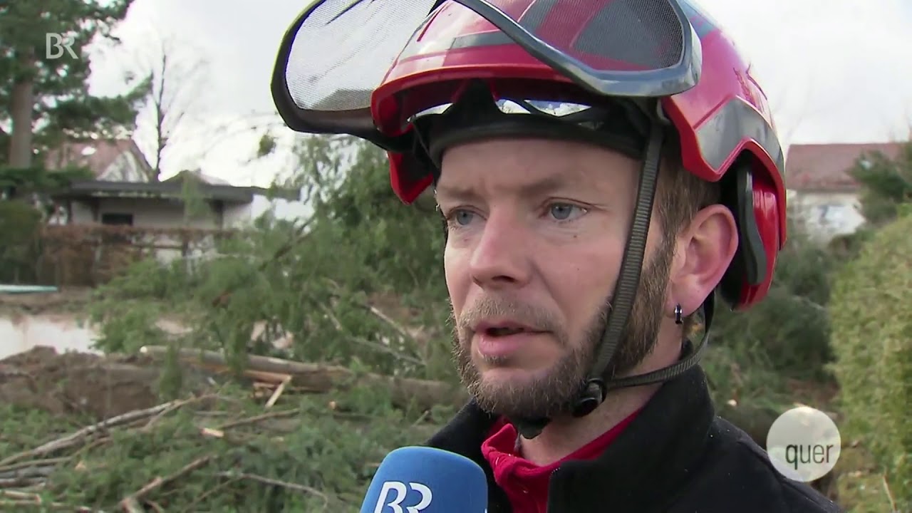 Quer Beitrag Baumfällung IhrBaumProfi