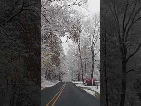 SHES COLD HEARTED Snow