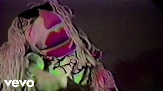 Watch Sonic Youth Drunken Butterfly video