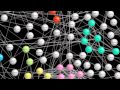 Fly Paper: Mapping the Protein Interactions of Our Distant Relative