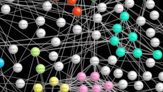 Fly Paper: Mapping the Protein Interactions of Our Distant Relative