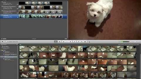 Import Events into iMovie 11