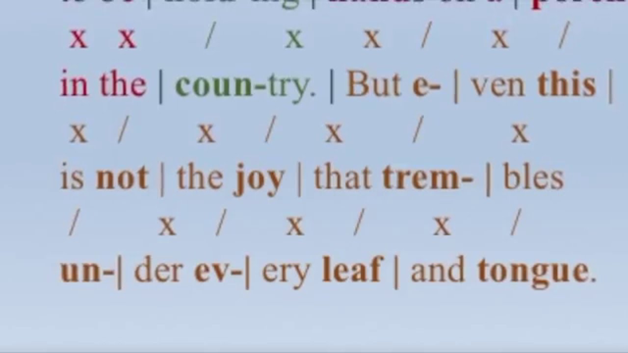 Meter and Meaning in 