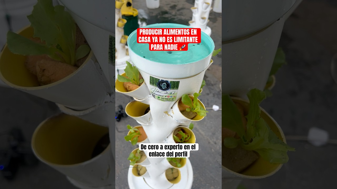 Mini torre AEROPONICA para 18 plantas aerohome 