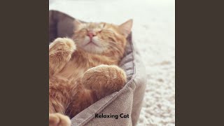 Soft Fur Relaxation Tones