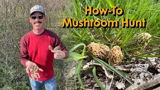 Morel Hunting Tips | How To and When To Find Mushrooms