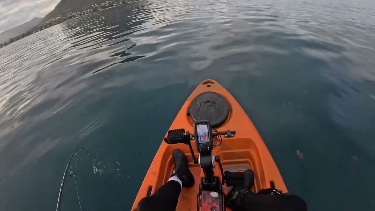 Rosario on micro jig! All equipment available at Izumi Fishing and outdoor equipment. 