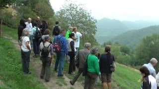 Azienda Agricola La Casetta di Laura Gelli