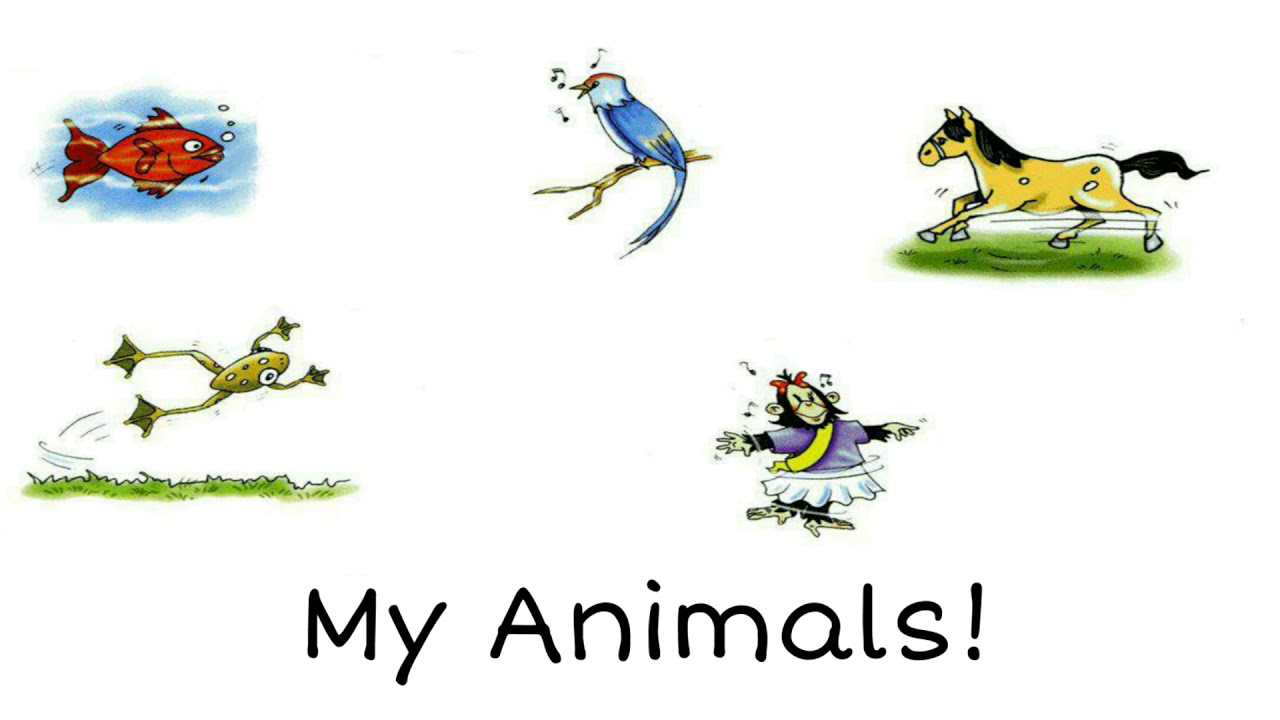 Wordwall спотлайт 2. Спотлайт 2 my animals. Spotlight 2 животные. My animals Spotlight 2 класс. Spotlight 2 my animals карточки.