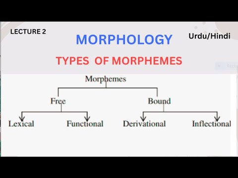 Morpheme and Its Types | Free and Bound Morpheme | Inflectional and Derivational Morpheme |