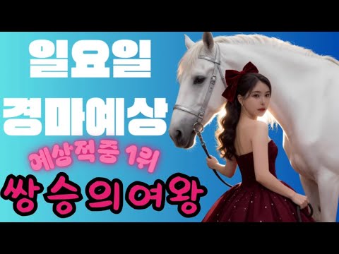 2026년06월28일일요일경마예상공유/토요경마 14개경주 적중! 왜 자꾸 배당을 주는거죠?? 현장공유는!!!