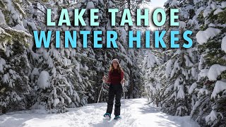 8 MAGICAL Winter Hikes in Lake Tahoe & Truckee, CA by Gabriella Viola  1,567 views 3 months ago 5 minutes, 12 seconds