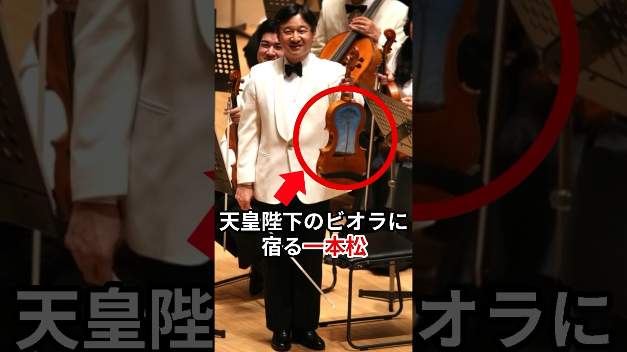 天皇陛下のビオラに宿る一本松とは #天皇陛下 #皇室 #shorts