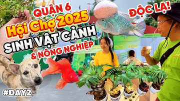 Hội chợ cá cảnh, Lễ hội sinh vật cảnh TPHCM 2025 - Quá Nhiều Thú Cưng Độc Lạ | BOM TN