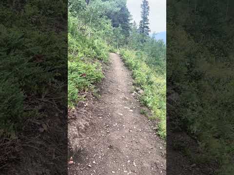 Ground & Connect within - Guided Meditation