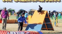 関空ペット総合学院 Youtube