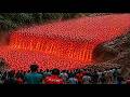 Most Unbelievable Nature Moments Ever Caught on Camera