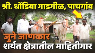 “बैलांच्या दुनियेचा खरा माहितीगार — धोंडिबा गाडगीळ; शर्यतीच्या परंपरेचे आजही जतन!” | Khillar 2025