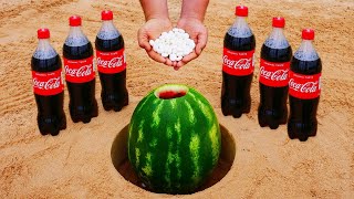 COCA COLA + MENTOS EXPERIMENT | Rainbow Elephant Toothpaste