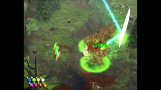 Magicka!!! (i'm the shield wizard)