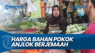 MASSIVE PRICE PLUNGE, Staple Food Prices at Trenggalek Wet Market