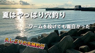【穴釣り】久しぶりに夫婦で釣りをしに堤防へ！穴釣りをしつつ合間にワームを投げてみたら好反応で面白かった