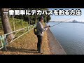 琵琶湖の超有名ポイントでもこの釣りなら簡単にデカバスが釣れました。