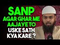 Sanp - Snake Agar Ghar Me Aajaye To Uske Sath Kya Karna Chahiye By @Adv. Faiz Syed