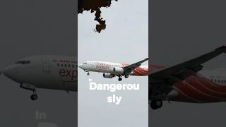 The Pilot Ignored 3 Warnings — Then Flight 812 Crashed 💔✈️