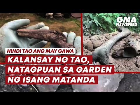 Kalansay ng tao, natagpuan sa garden ng isang matanda! | GMA News Feed