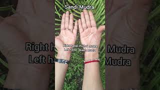 #shorts #mudras for #jointpain #best mudra for pain relief #amruthadhara hospital Adyanadka