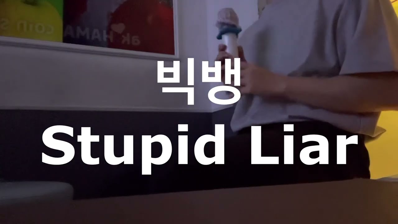 빅뱅 - Stupid Liar [일반인의 노래방 커버]